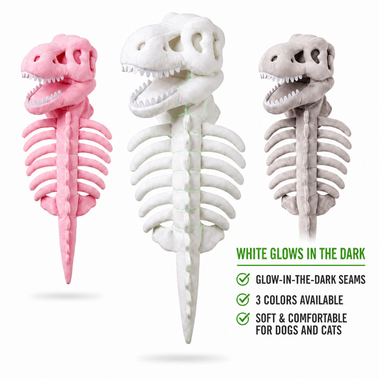 Dinosaur Skeleton Dog Costume