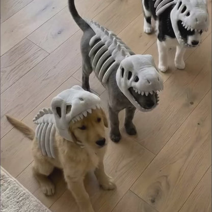 Dinosaur Skeleton Dog Costume